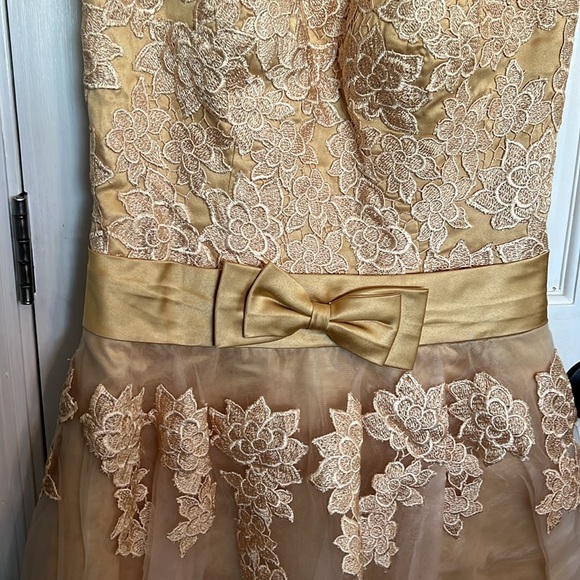 Lace dress - Picture 3 of 15